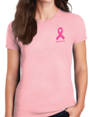 Breast Cancer Shirt --Adult and youth sizes