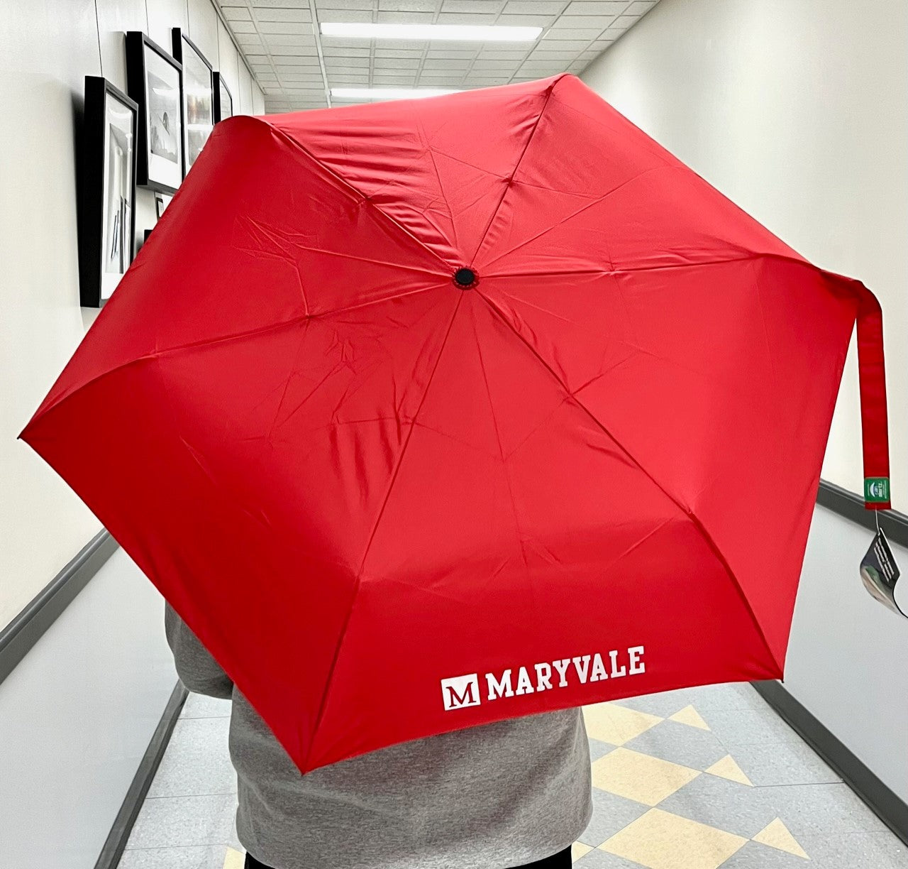 Mini Umbrella