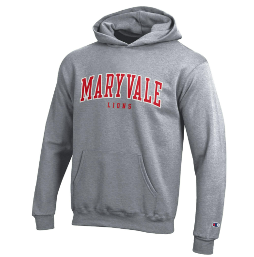 Champion Youth Hoodie